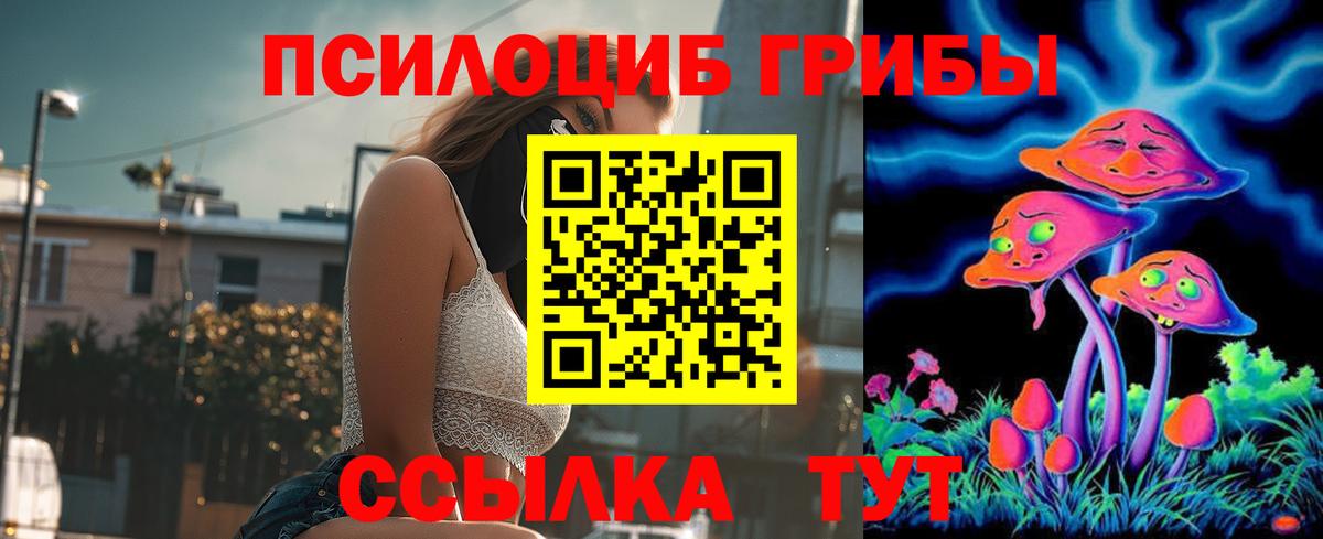 Псилоцибиновые грибы Magic Shrooms  Вход с VPN  Ковров 